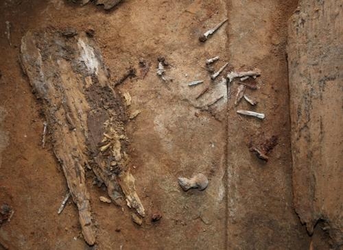 ���� Ⱦ���� ���Ǻп��� ���� ��� ����� ��..jpg