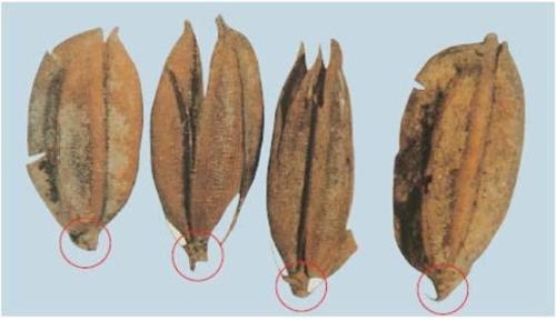 �ҷθ� ����.jpg