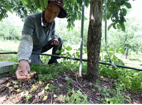 ��� ���ֽ� ��ô�鿡�� ��� ��縦 ����.jpg